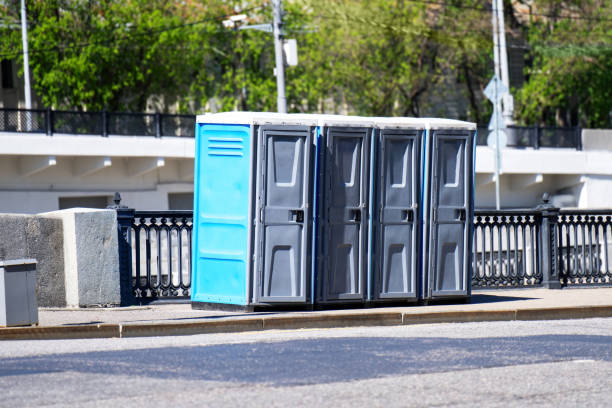 Best Sanitation services for porta potties  in Temesl Valley, CA